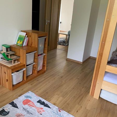 Appartamento Apartmán u Kunštátského mlýna Orlicke Zahori Esterno foto