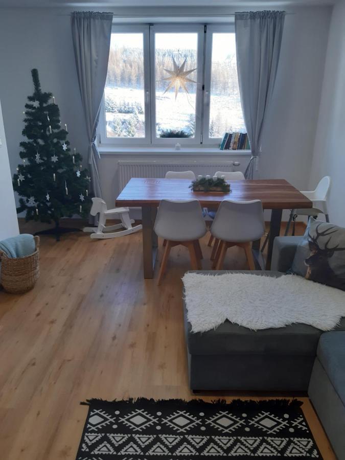 Appartamento Apartmán u Kunštátského mlýna Orlicke Zahori Esterno foto